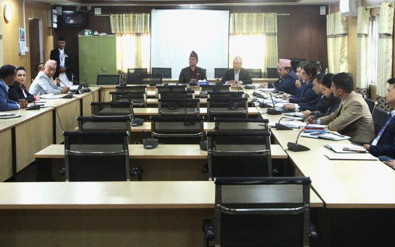 सभामुख अर्यालद्वारा प्रमुख सचेतकहरूसँग छलफल